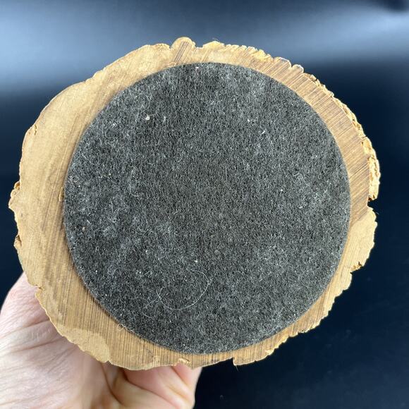 Tim Wolfe Eartha Cat Carols for Critters #1 Tom Clark Christmas #57 Carin - Picture 12 of 14